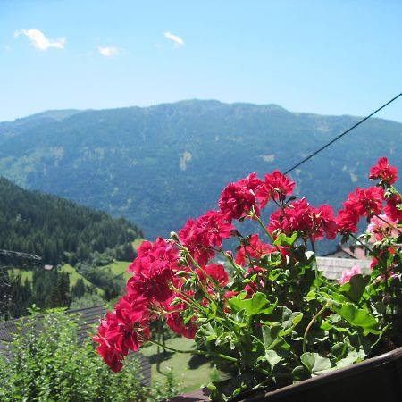 Chalet Catton Two Bedroom Appartement Near Bad Kleinkirchheim Radenthein Exterior photo